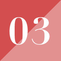 no3