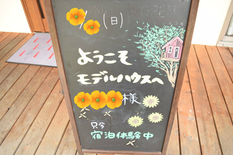 BlogPaint