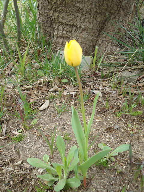DSC01764