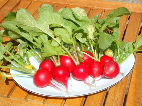 DSC01291
