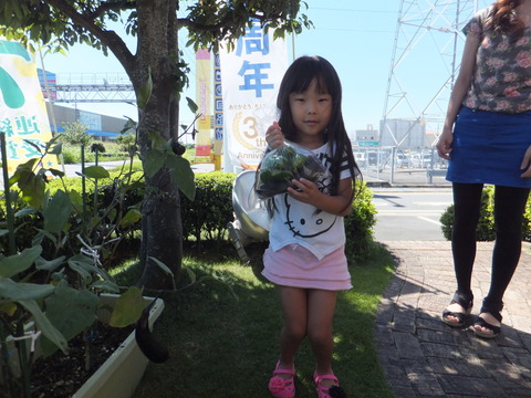 DSCF0379