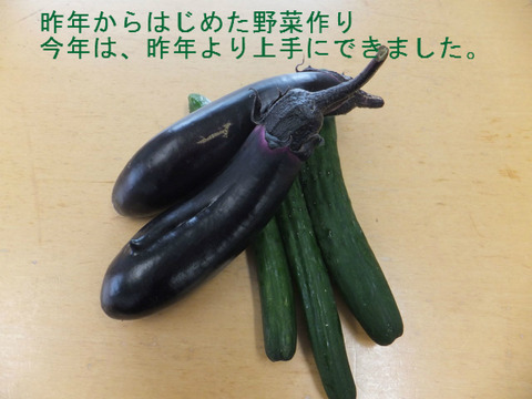 BlogPaint