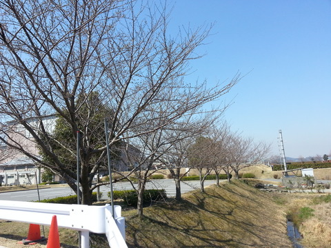 20140324_102234