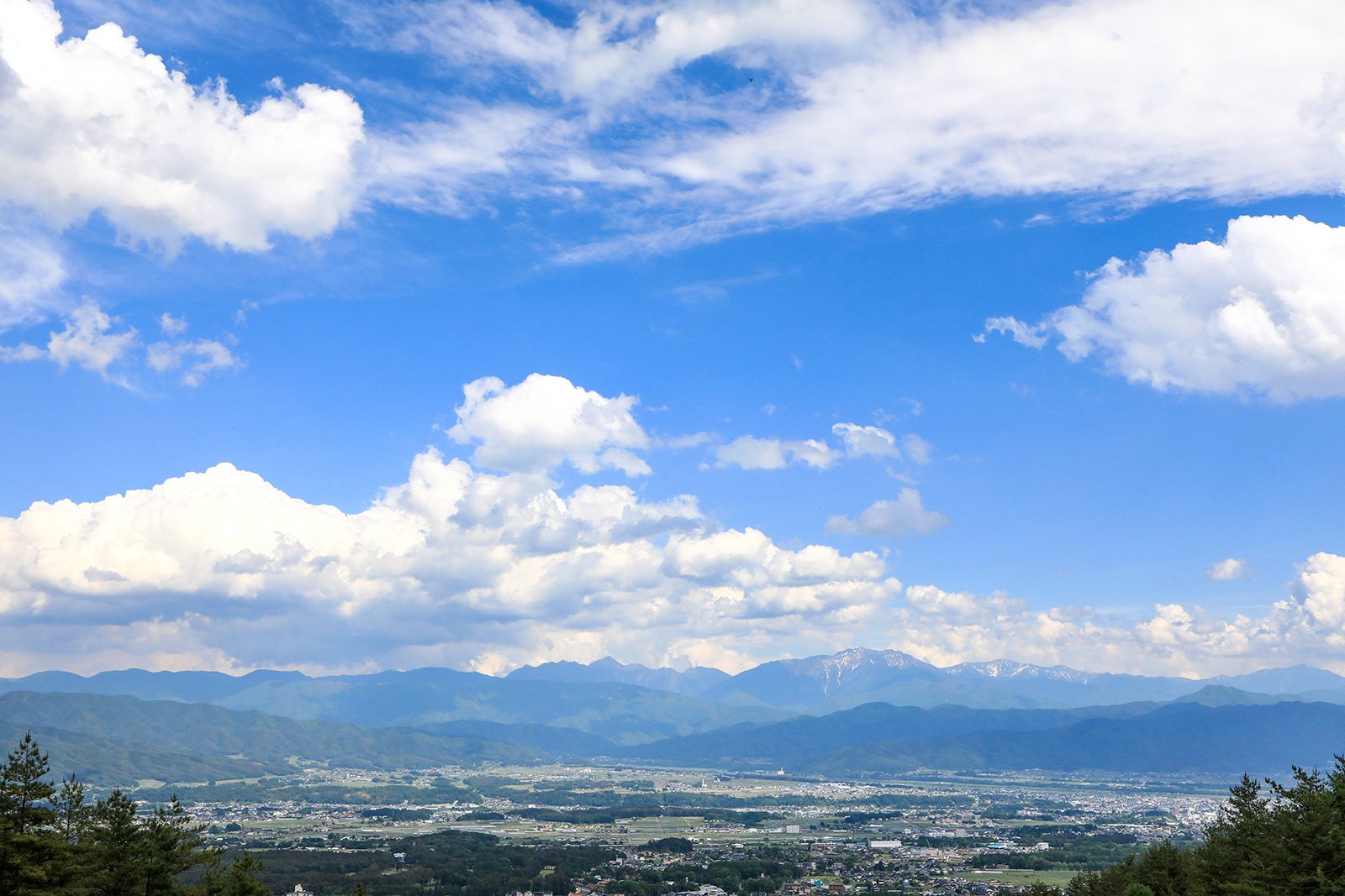 伊那市の森と自然